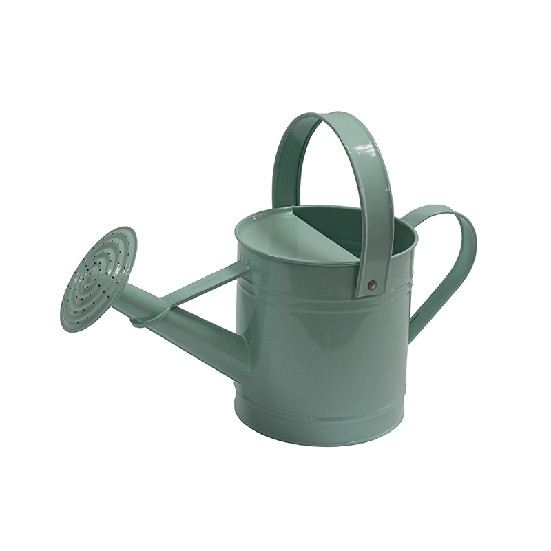 Light blue galvanized metal plant watering can